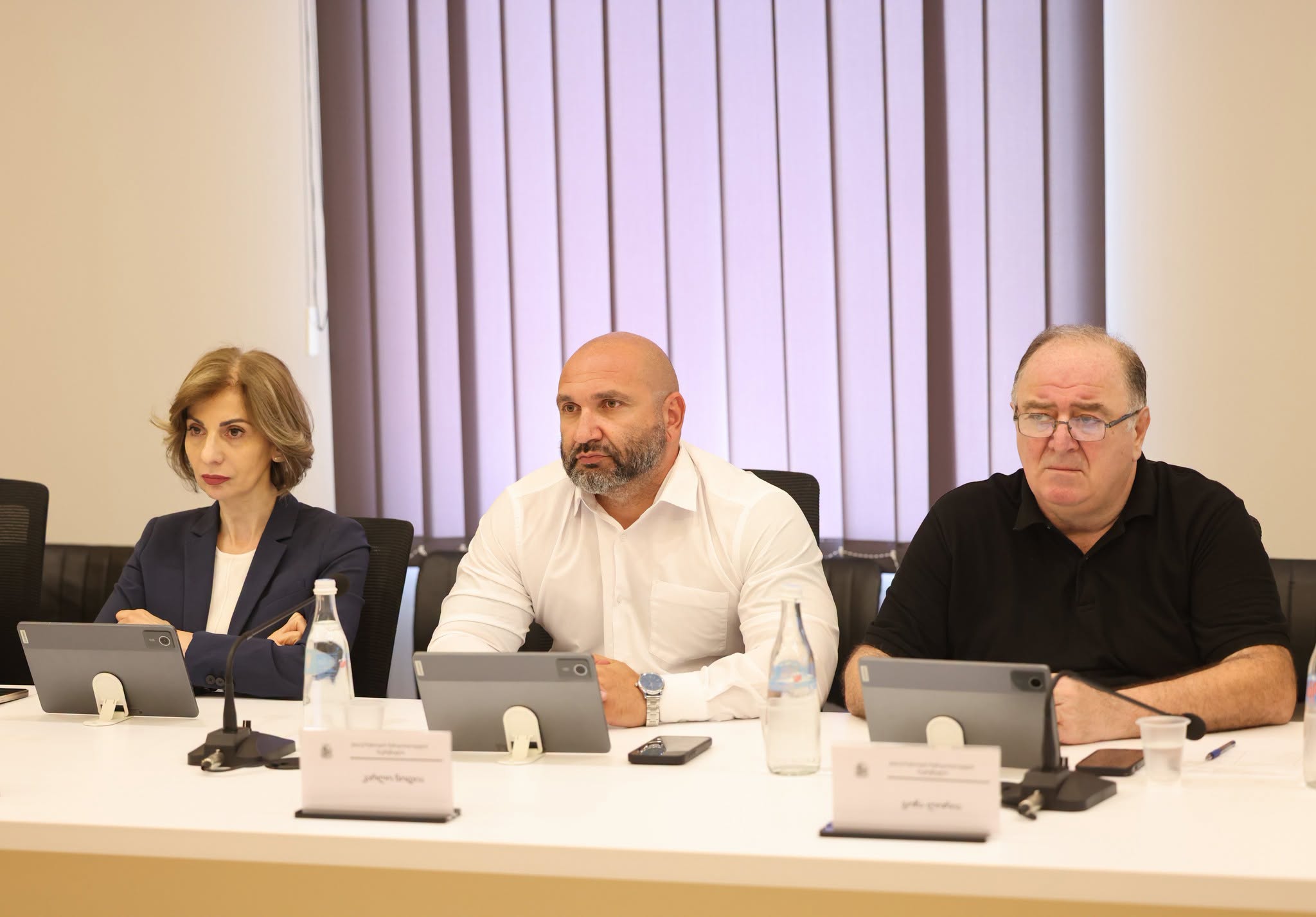 ქონების მართვისა და ბუნებრივი რესურსების საკითხთა კომისიის მორიგი სხდომა გაიმართა