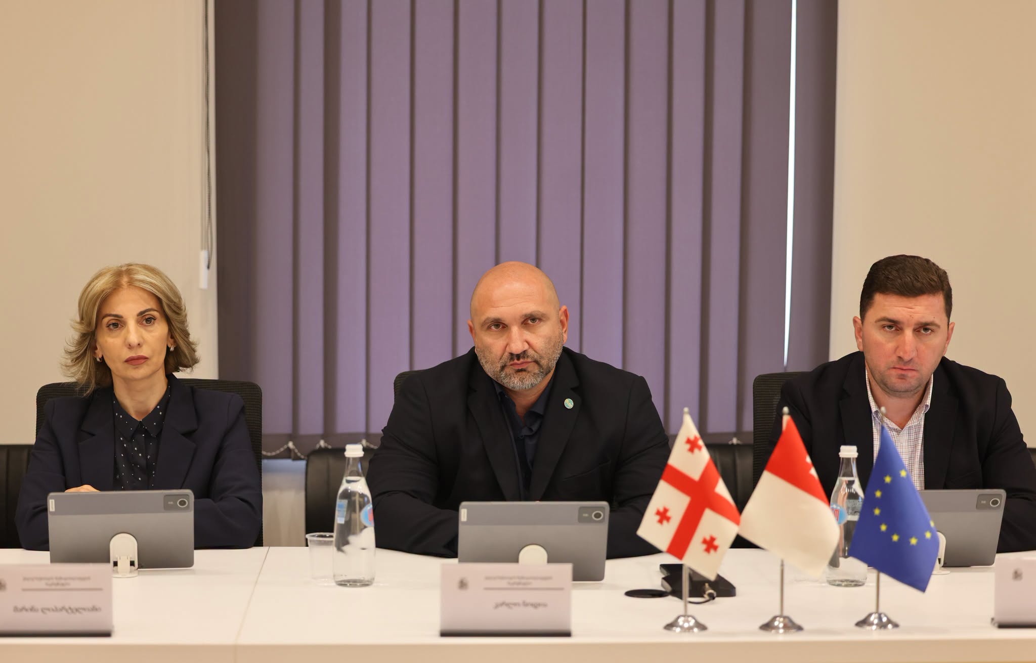 ქონების მართვისა და ბუნებრივი რესურსების საკითხების კომისიის სხდომა გაიმართა